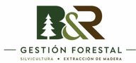 Byrgestionforestal.cl